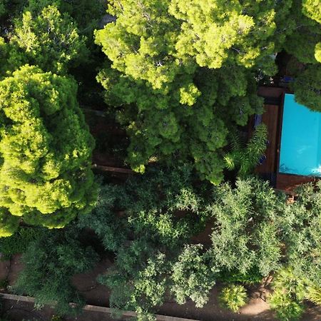 Villa Majus Портичелло Экстерьер фото